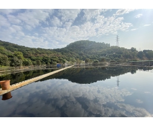 市政污水·穩(wěn)定達(dá)標(biāo)且不增加處理費(fèi)用—庫巴魯