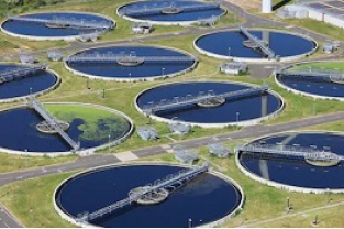 利用微生物污水處理菌處理廢水有什么優(yōu)勢？